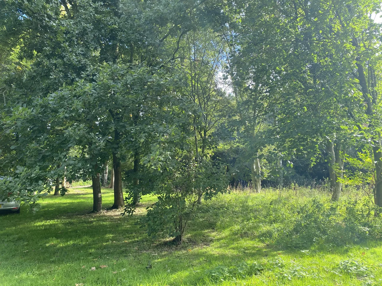 Trees and green garden space around the retreat cottage